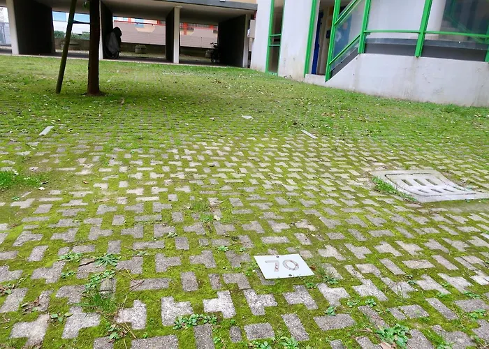 Grazioso N 70 A A 100mt Dal Mare Bibione