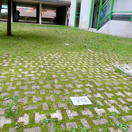 Grazioso N 70 A A 100mt Dal Mare 비비오네